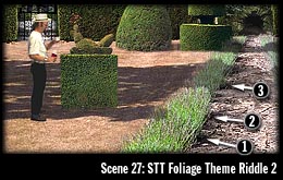 Scene 27: STT Foliage Theme Riddle 2